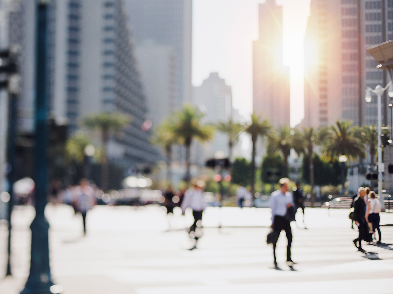 document destruction